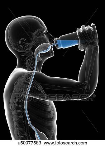 Drawing - Man drinking, artwork. Fotosearch