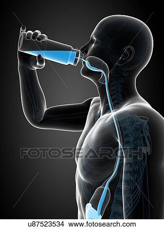 Man drinking, artwork View Large Illustration Stock Illustration - Man drinking, artwork. Fotosearch