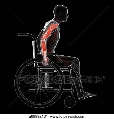 Man in a wheelchair, artwork View Large Illustration Clip Art - Man in a wheelchair, artwork. Fotosearch