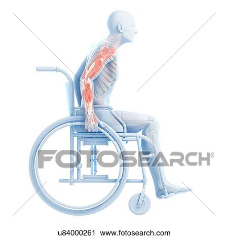 Man in a wheelchair, artwork View Large Illustration Clip Art - Man in a wheelchair, artwork. Fotosearch