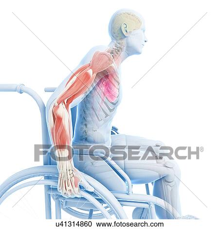 Clipart - Man in a wheelchair, artwork. Fotosearch