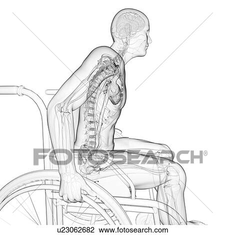 Man in a wheelchair, artwork View Large Illustration Drawing - Man in a wheelchair, artwork. Fotosearch