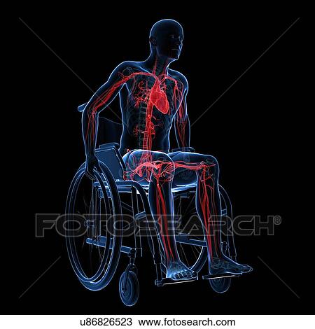 Drawing - Man in a wheelchair, artwork. Fotosearch