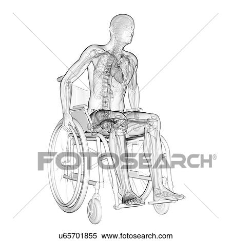 Stock Illustration - Man in a wheelchair, artwork. Fotosearch