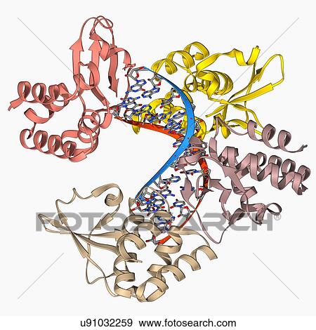 Marburg viral protein 35 and RNA View Large Illustration Stock Illustration - Marburg viral protein 35 and RNA. Fotosearch