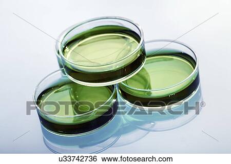 Microbiology research View Large Illustration Stock Illustration - Microbiology research. Fotosearch