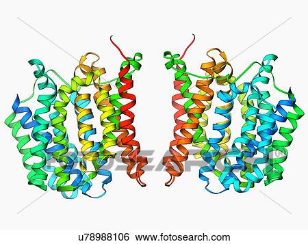 Multidrug transporter molecule View Large Illustration Stock Illustration - Multidrug transporter molecule. Fotosearch