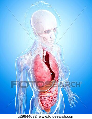 Neck pain, artwork View Large Illustration Drawing - Neck pain, artwork. Fotosearch