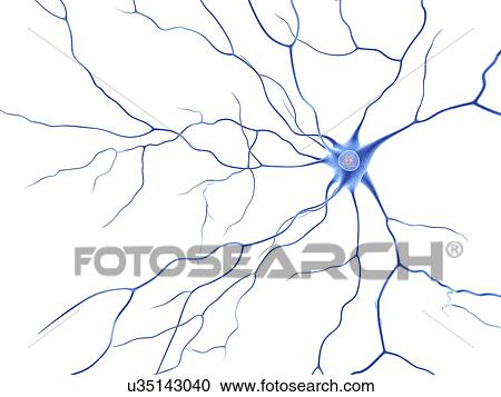 Clipart - Nerve cell, artwork. Fotosearch