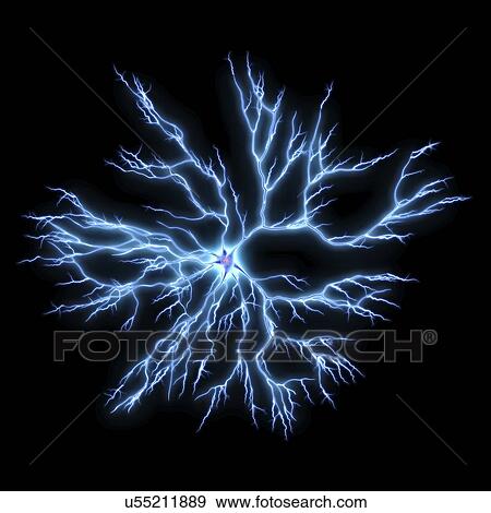Nerve cell, artwork View Large Illustration Stock Illustration - Nerve cell, artwork. Fotosearch