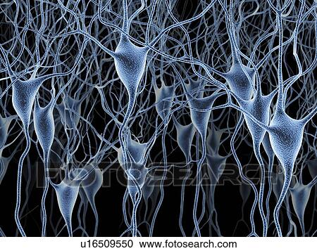 Clipart - Nerve cells, artwork. Fotosearch