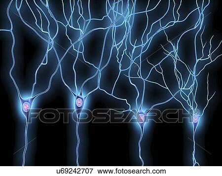 Nerve cells, artwork View Large Illustration Stock Illustration - Nerve cells, artwork. Fotosearch