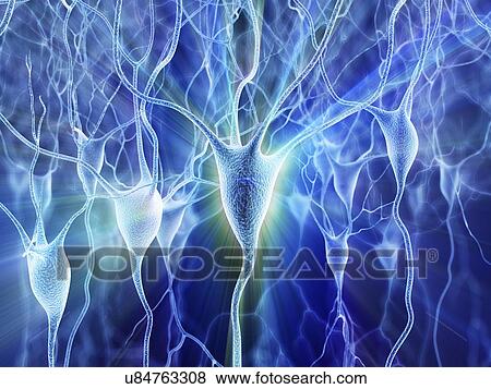 Stock Illustration - Nerve cells, artwork. Fotosearch