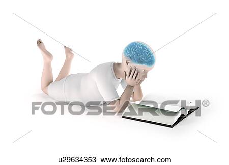 Neurological development, artwork View Large Illustration Drawing - Neurological development, artwork. Fotosearch