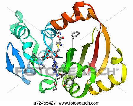 Stock Illustration - NpmA methyltransferase. Fotosearch