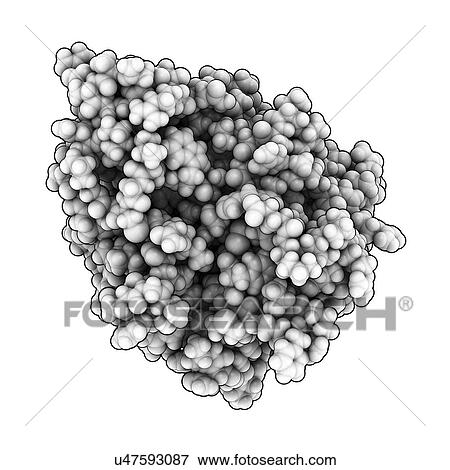 Ocriplasmin vitreomacular adhesion drug View Large Illustration Stock Illustration - Ocriplasmin vitreomacular adhesion drug. Fotosearch