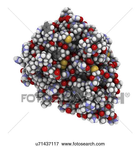 Ocriplasmin vitreomacular adhesion drug View Large Illustration Stock Illustration - Ocriplasmin vitreomacular adhesion drug. Fotosearch