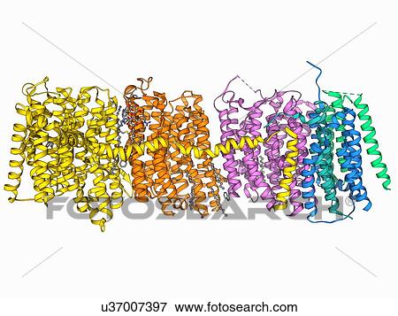 Oxidoreductase enzyme complex View Large Illustration Stock Illustration - Oxidoreductase enzyme complex. Fotosearch