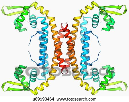 Parathion hydrolase enzyme View Large Illustration Stock Illustration - Parathion hydrolase enzyme. Fotosearch