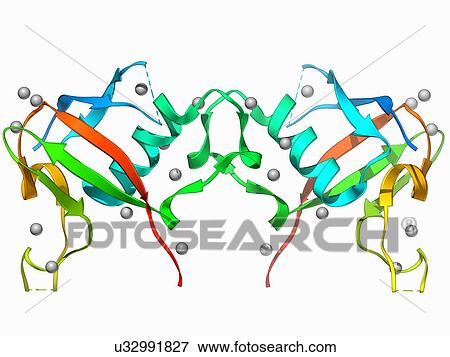 Plexin signal transduction molecule View Large Illustration Stock Illustration - Plexin signal transduction molecule. Fotosearch
