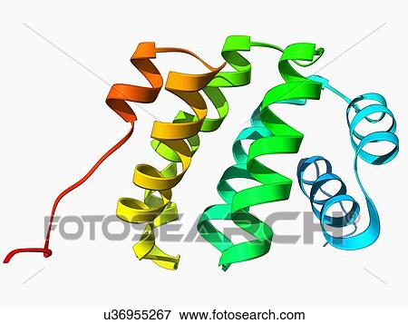 Programmed cell death protein molecule View Large Illustration Stock Illustration - Programmed cell death protein molecule. Fotosearch