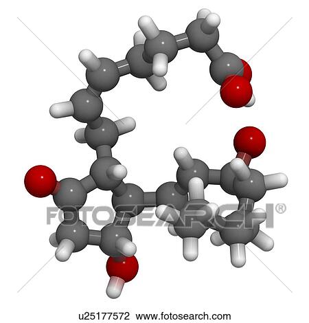Prostaglandin E2 uterus stimulating drug View Large Illustration Drawing - Prostaglandin E2 uterus stimulating drug. Fotosearch