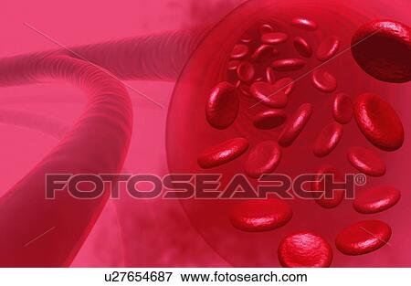 Red blood cells, artwork View Large Illustration Stock Illustration - Red blood cells, artwork. Fotosearch