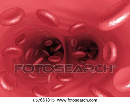 Red blood cells, artwork View Large Illustration Stock Illustration - Red blood cells, artwork. Fotosearch