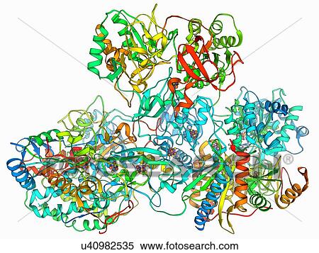 Respiratory complex I View Large Illustration Stock Illustration - Respiratory complex I. Fotosearch