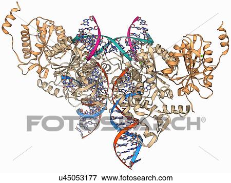 Stock Illustration - Retroviral intasome molecule. Fotosearch