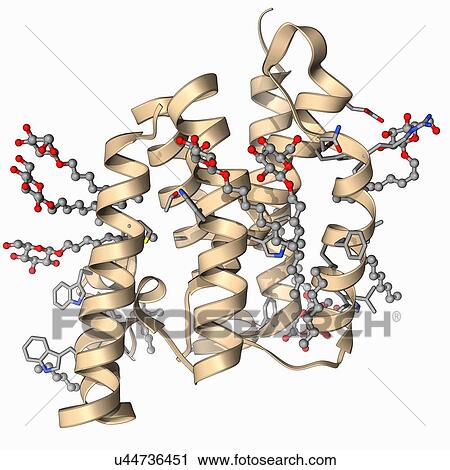 Clip Art - Rhomboid protease molecule. Fotosearch