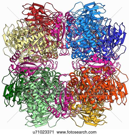 Clip Art - Rubisco enzyme molecule. Fotosearch