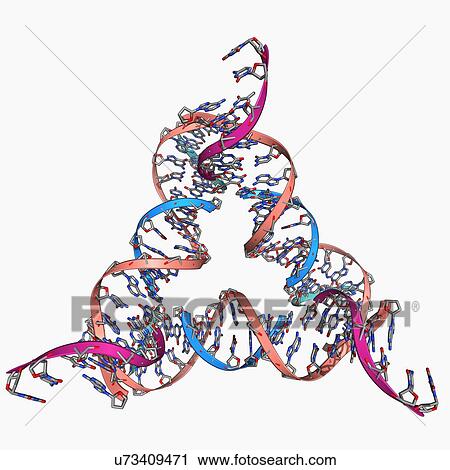 Self-assembled DNA triangle View Large Illustration Clip Art - Self-assembled DNA triangle. Fotosearch