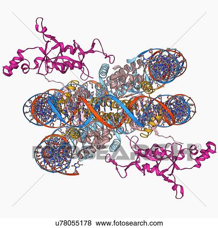 Sir3 gene silencer acting on DNA View Large Illustration Stock Illustration - Sir3 gene silencer acting on DNA. Fotosearch