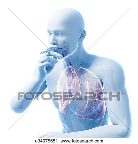 Smoker, artwork View Large Illustration Clip Art - Smoker, artwork. Fotosearch