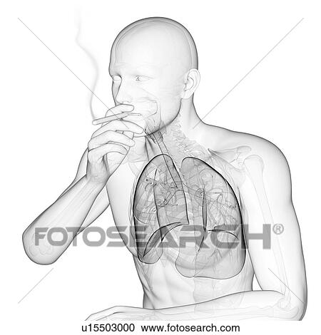 Clipart - Smoker, artwork. Fotosearch