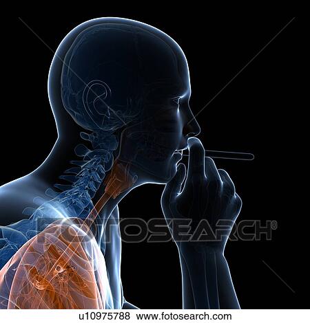 Smoker, artwork View Large Illustration Stock Illustration - Smoker, artwork. Fotosearch