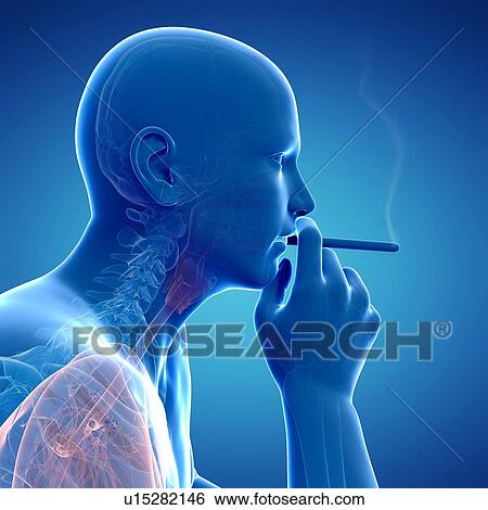 Smoker, artwork View Large Illustration Stock Illustration - Smoker, artwork. Fotosearch
