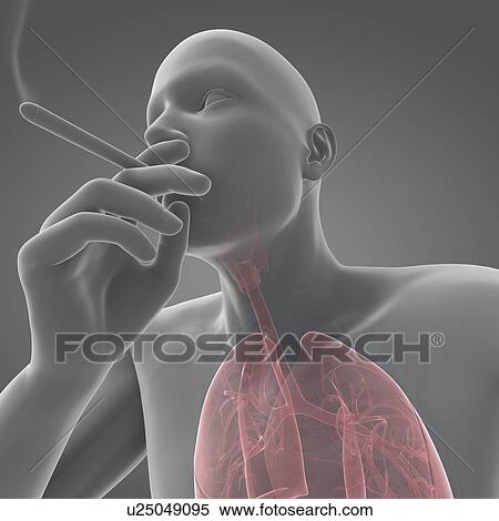 Smoker, artwork View Large Illustration Stock Illustration - Smoker, artwork. Fotosearch