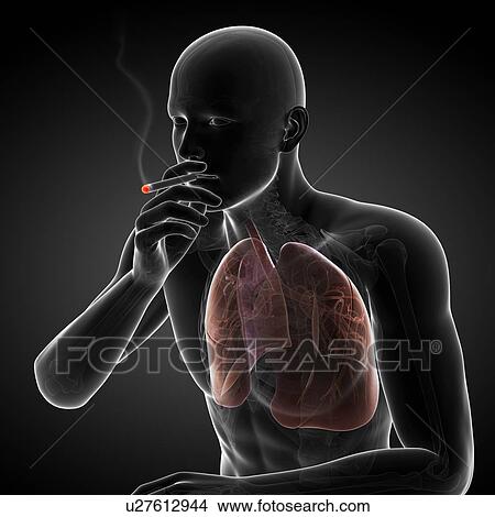 Stock Illustration - Smoker, artwork. Fotosearch