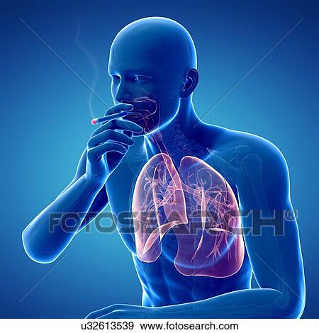 Smoker, artwork View Large Illustration Stock Illustration - Smoker, artwork. Fotosearch