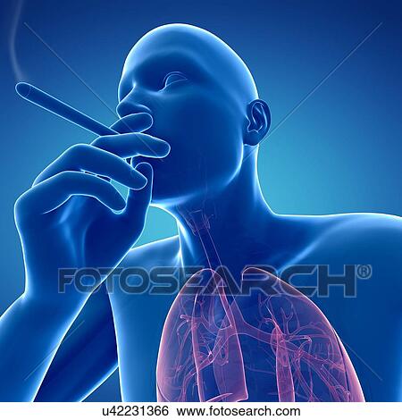 Smoker, artwork View Large Illustration Stock Illustration - Smoker, artwork. Fotosearch