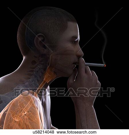 Smoker, artwork View Large Illustration Stock Illustration - Smoker, artwork. Fotosearch