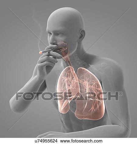 Smoker, artwork View Large Illustration Stock Illustration - Smoker, artwork. Fotosearch