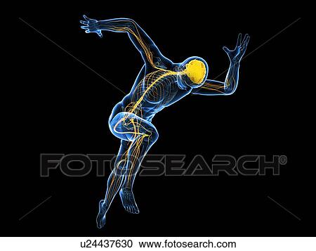 Clipart - Sprinter, artwork. Fotosearch