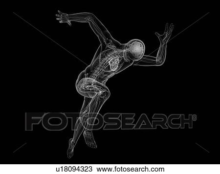 Sprinter, artwork View Large Illustration Drawing - Sprinter, artwork. Fotosearch