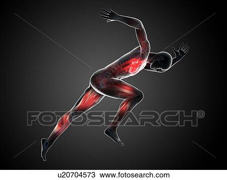 Drawing - Sprinter, artwork. Fotosearch