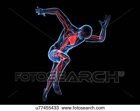 Drawing - Sprinter, artwork. Fotosearch