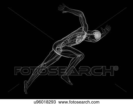 Sprinter, artwork View Large Illustration Drawing - Sprinter, artwork. Fotosearch