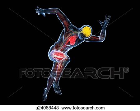 Stock Illustration - Sprinter, artwork. Fotosearch